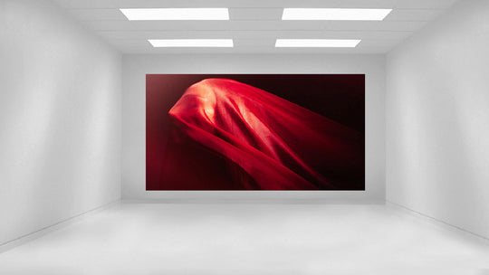 WHY BECOME AN ART COLLECTOR?