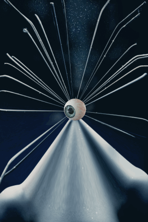 Suspicious Activity By TOMAAS - Surreal Fashion & NFT Art For Sale